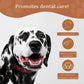 Coffee Wood Dog Chew with Salmon Oil – Natural Chew Stick