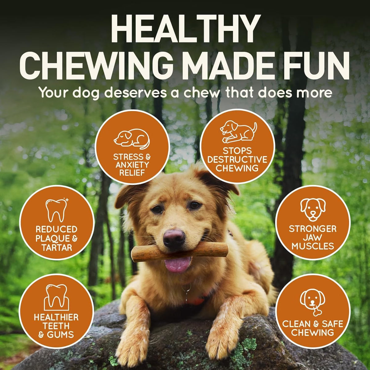 Coffee Wood Dog Chew with Salmon Oil – Natural Chew Stick