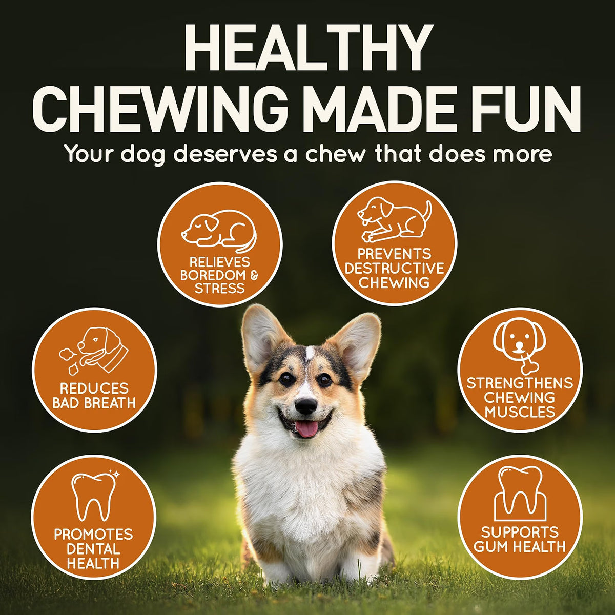 Olive Wood Dog Chew – Natural Chew Stick with Olive Oil
