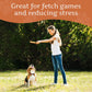 Olive Wood Dog Chew – Natural Chew Stick with Olive Oil