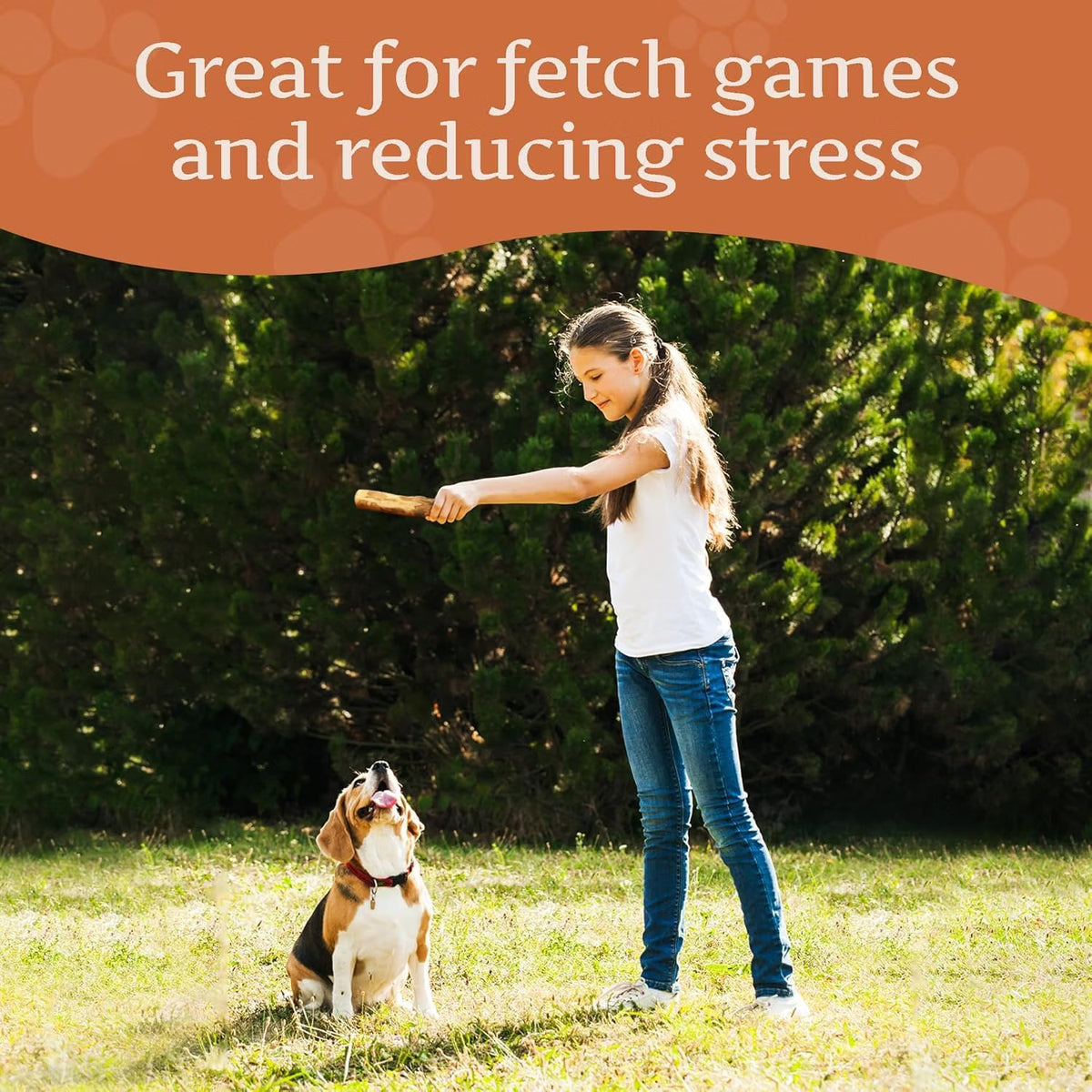 Olive Wood Dog Chew – Natural Chew Stick with Olive Oil