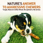 Olive Wood Dog Chew – Natural Chew Stick with Olive Oil