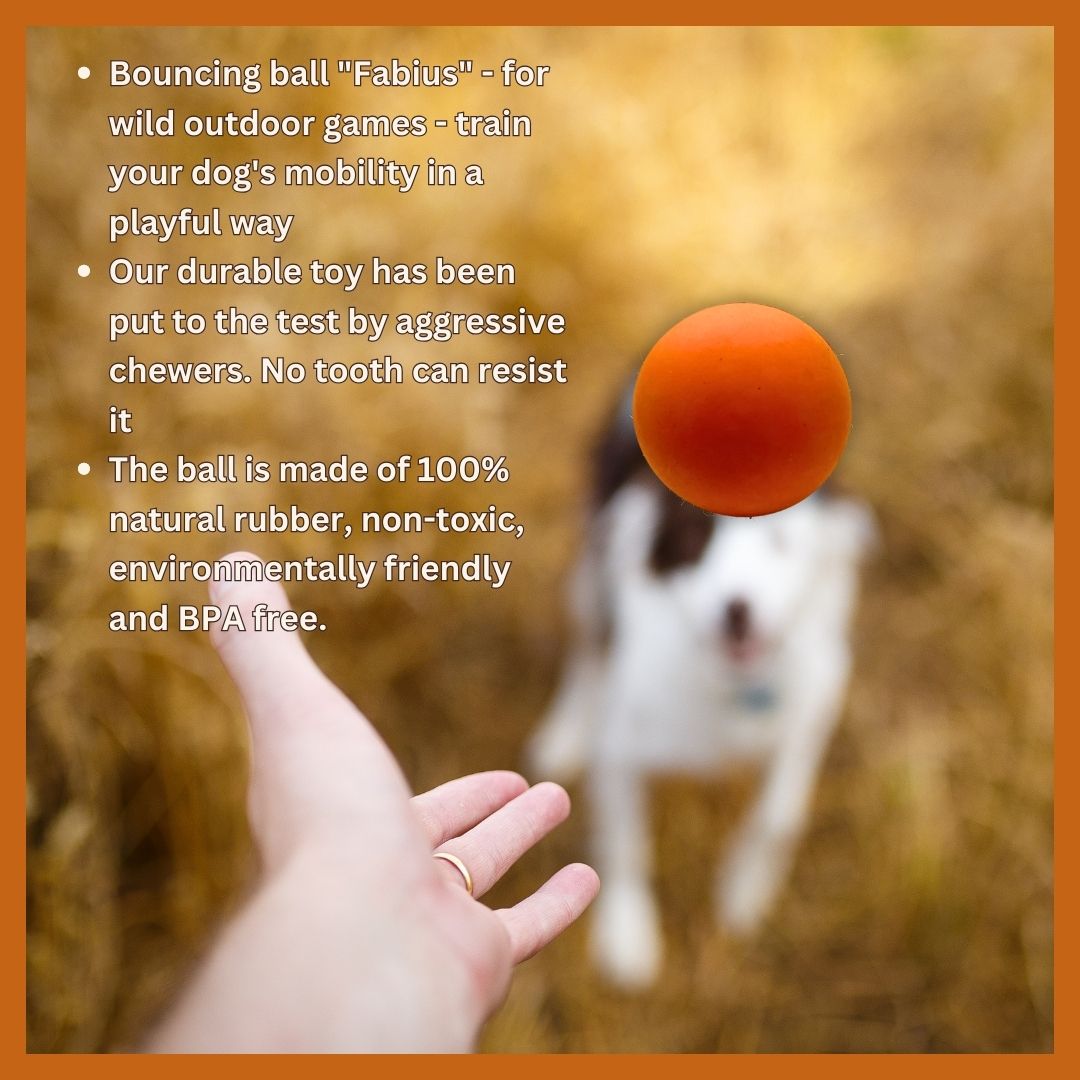 Chew toy bouncy ball "Fabius" - 100% natural rubber Chew toy bouncy ball "Fabius" - 100% natural rubber