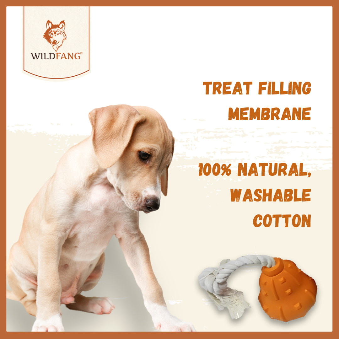 Chew toy throwing pumpkin "Winnie" - 100% natural rubber
