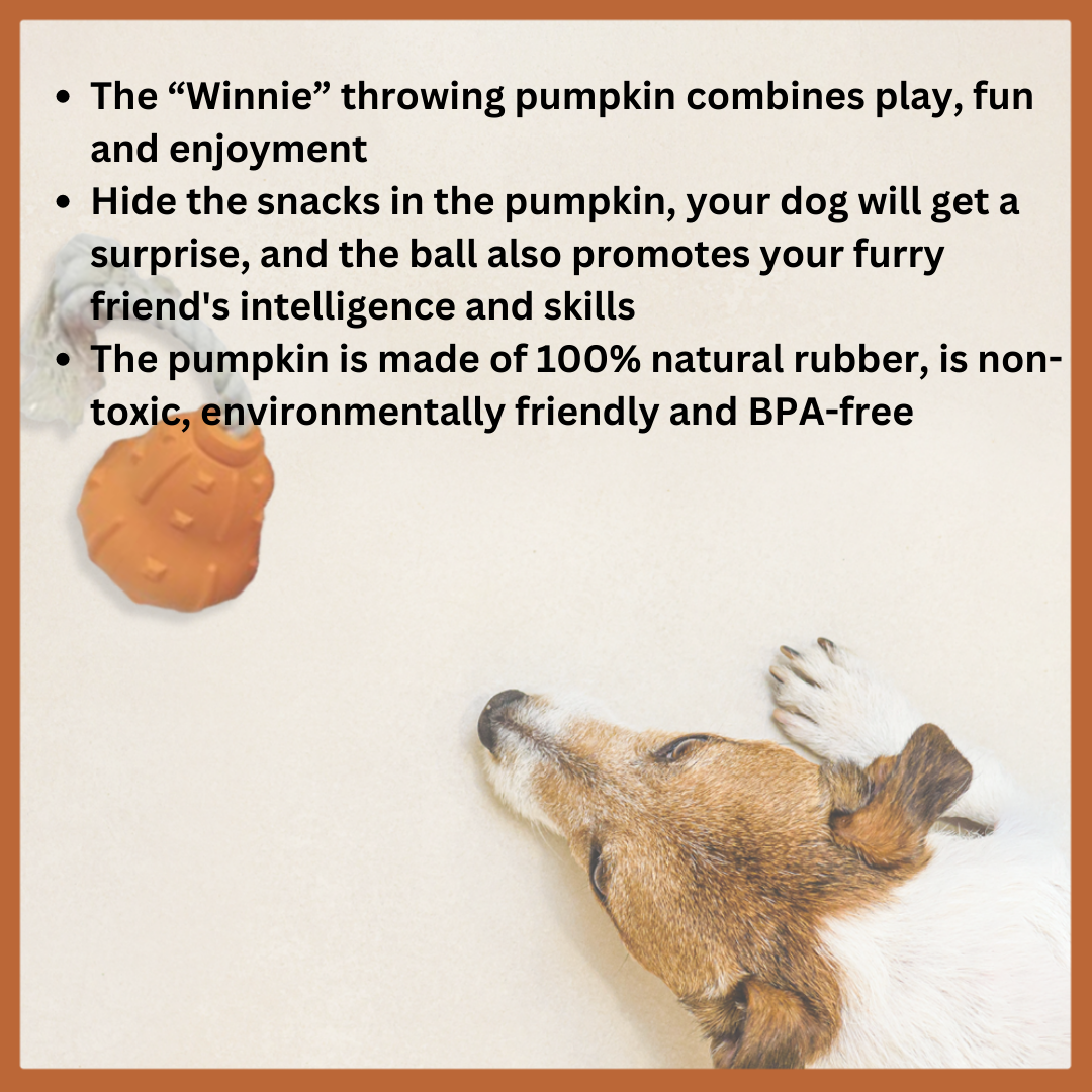 Chew toy throwing pumpkin "Winnie" - 100% natural rubber