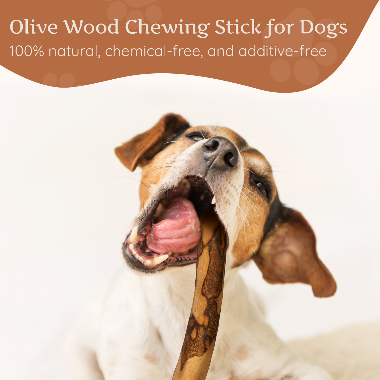 Olive Wood