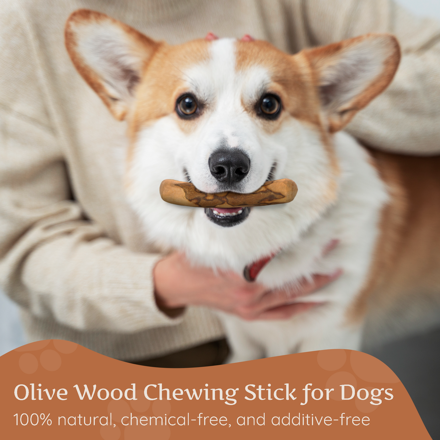 Olive Wood